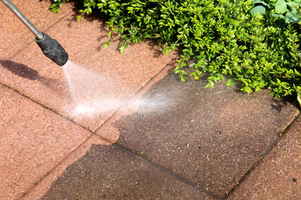 Best House Pressure Washing  in Rson, CA